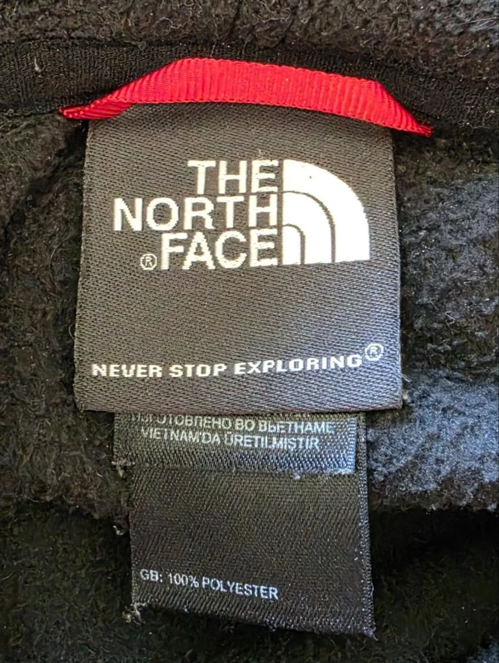The North Face Black Fleece Hooded Pullover